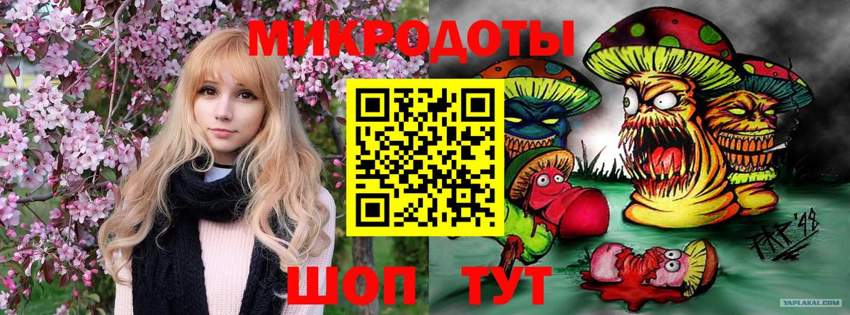 Сланцы  Галлюциногенные грибы Cubensis  Вход с VPN 