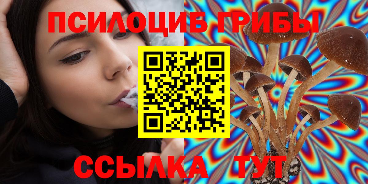 Псилоцибиновые грибы прущие грибы Сланцы