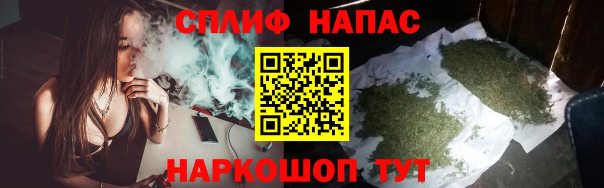Канабис план Сланцы